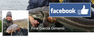 Fina Facebook