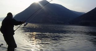 Andrea Baldeschi webcarp