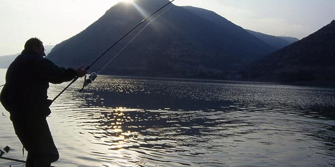 Andrea Baldeschi webcarp