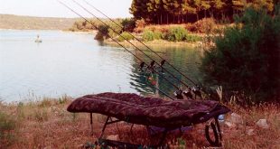 pesca obstáculos