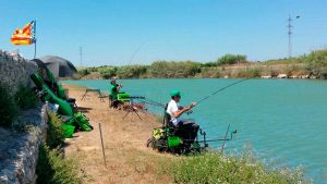 Webcarp feeder