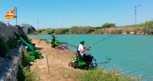 Webcarp feeder