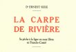 La carpe de riviere Ernest Sexe