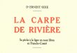 La carpe de riviere Ernest Sexe