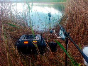 carpfishing en río