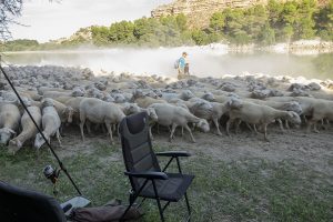 AD Carpfishing Caspe