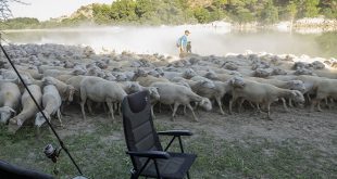 AD Carpfishing Caspe