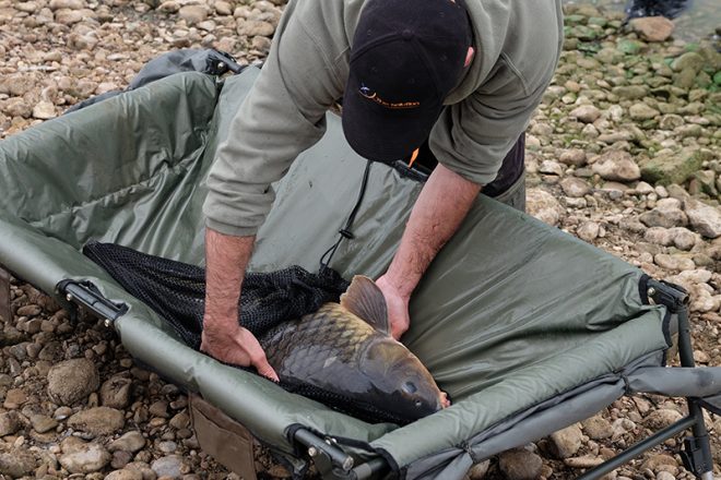 carpfishing-moqueta-adecuada