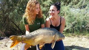 Ana Cillero carpfishing
