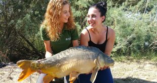 Ana Cillero carpfishing