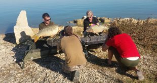 etica-filosofia-carpfishing