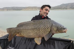 sujetar-correctamente-carpa