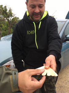 carpval-concurso-feeder