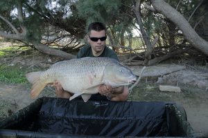 familia-webcarp