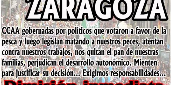 manifestacion-zaragoza