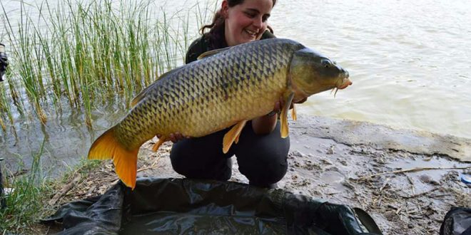 paula-garin-complicidad-ebro