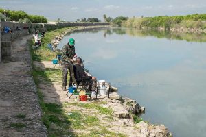 carpval-feeder