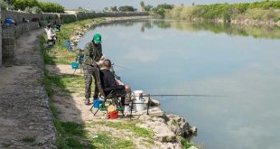carpval-feeder
