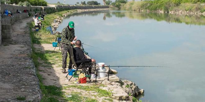 carpval-feeder
