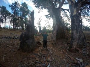 flinders-rangers