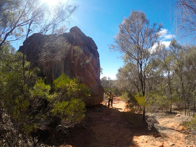 flinders-rangers