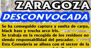 Manifestación de Zaragoza desconvocada