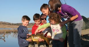 webcarp-niños-pesca