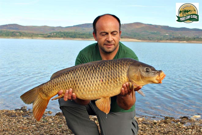 Pisoes-Carp-Classic