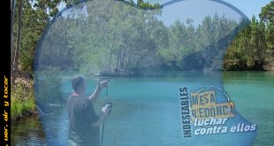 CarpMAG mayo 2017
