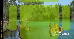 CarpMAG 21 Android mayo 2017