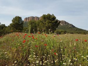 claude-valette-embalse