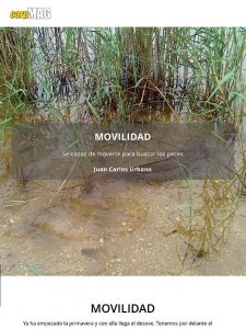 consejos-carpfishing-primavera-carpmag