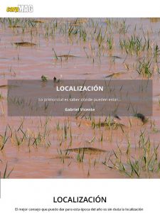 consejos-carpfishing-primavera-carpmag