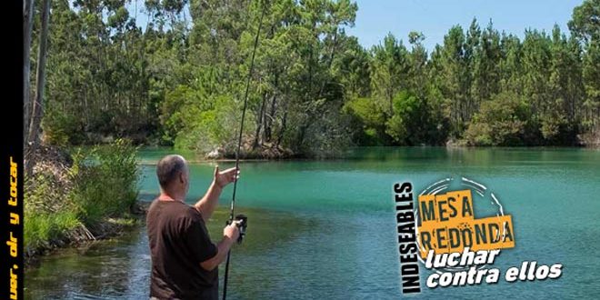 portada-carpmag-21-mayo