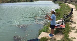 El feeder y los niños