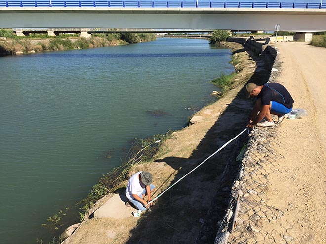 autonomico-valencia-2017-carpfishing