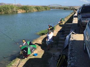 autonomico-valencia-2017-carpfishing