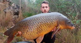 open-regajo-gavarcarp-2017-luismi