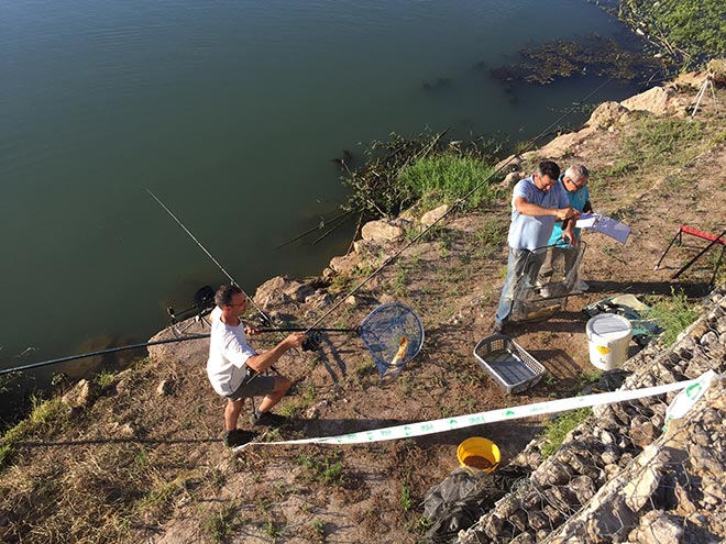 autonomico-carpfishing-valencia-riola-2017