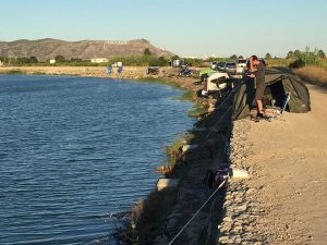 autonomico-carpfishing-valencia-riola-2017