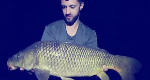 autonomico-carpfishing-valencia-riola-2017