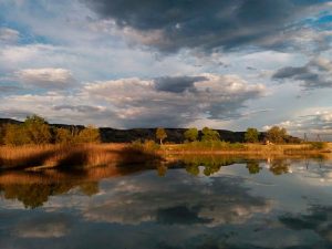 raquel-tejedor-lugares-obsesionan-pesca-carpas