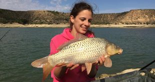 cristina-muela-carpfishing-caspe-agosto-2017