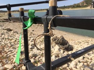 cristina-muela-carpfishing-caspe-agosto-2017