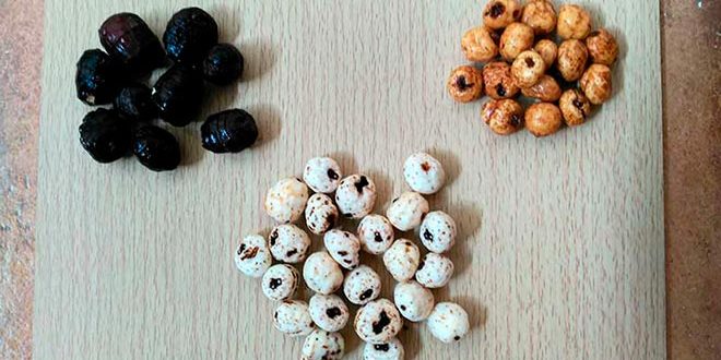 david-garcia-aramendia-chufas-granos