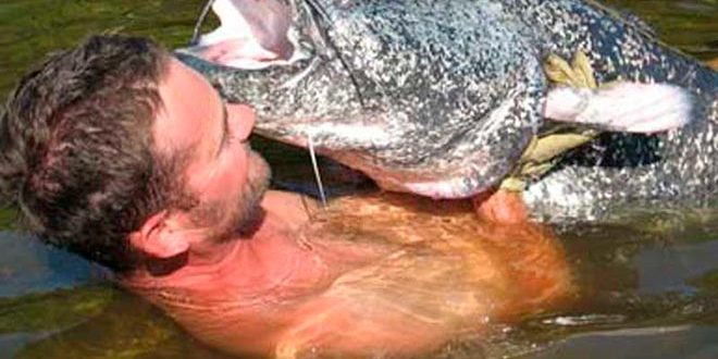 siluros-francia-big-game