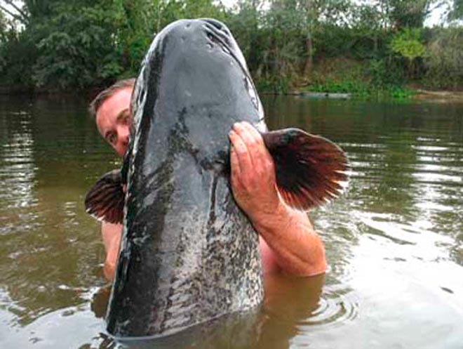 siluros-francia-big-game