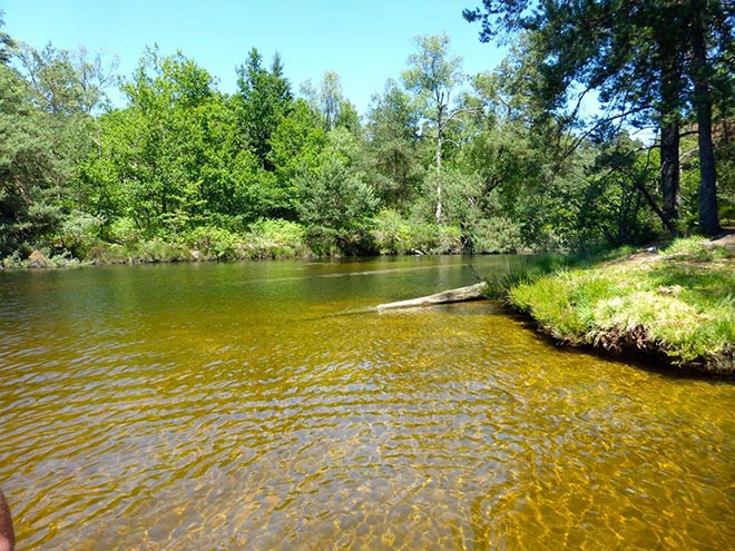 iktus-ruffaud-lake