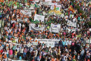 manifestacion-cordoba-caza-pesca