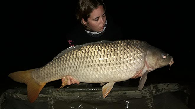 paula-garin-carpas-comunes-ebro
